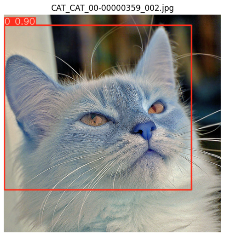 Close-up of a long-haired gray cat with a red detection box around its face