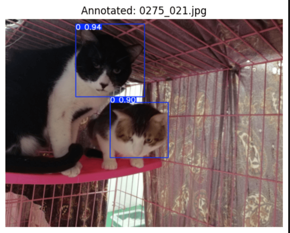 Two cats on a shelf in a pink cage, with blue detection boxes around both faces