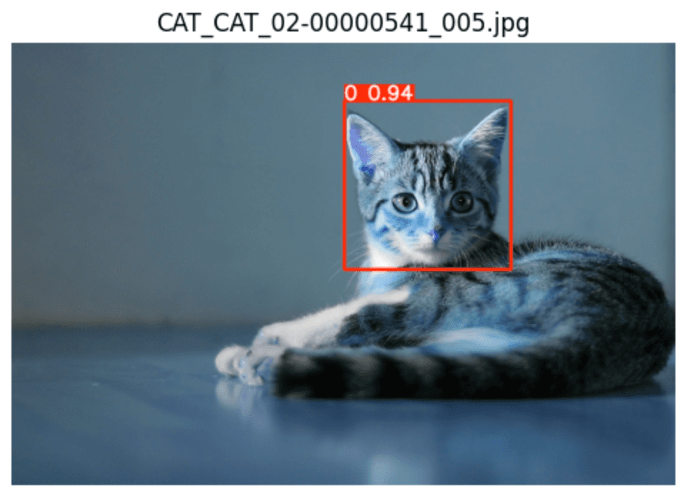 Reclining tabby kitten with a red detection box around its face